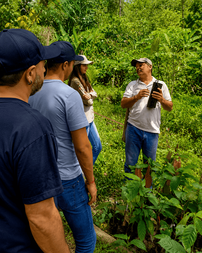 Cacao Tour